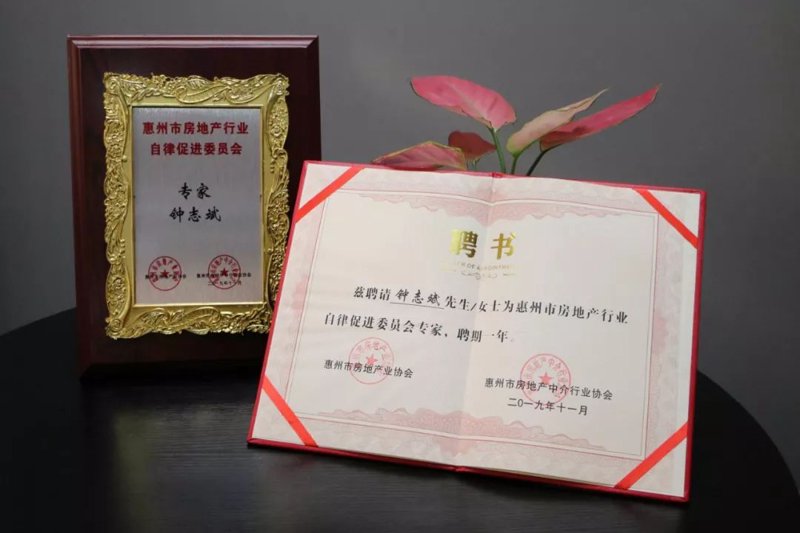 房地产政策解读:帮你读懂市场风云